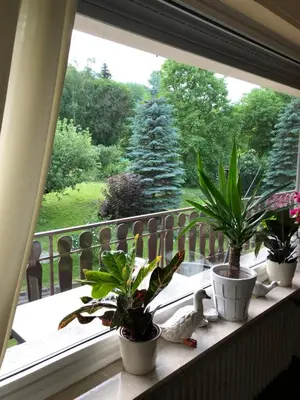 Ein Garten an der Unterkunft Gästehaus La Madonnina