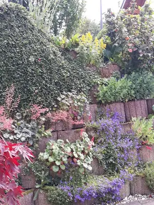 Ein Garten an der Unterkunft Mosel-Ferienwohnung Berhard