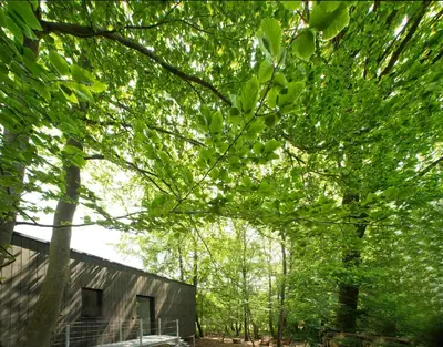 Ein Garten an der Unterkunft Architektur Ferienhaus Eifel SUITE17