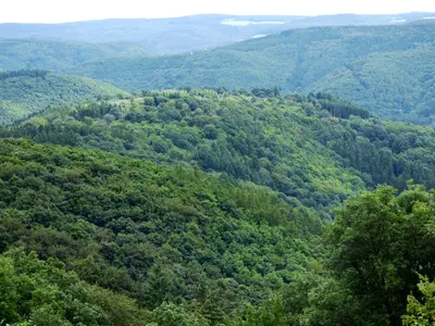 Naturlandschaft in der Nähe des Ferienhauses