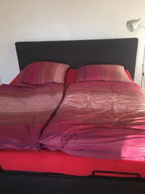 Ein Bett oder Betten in einem Zimmer der Unterkunft Appartement Elzerland