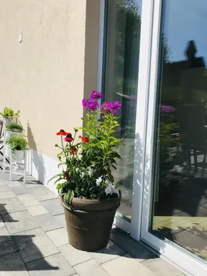 Ein Garten an der Unterkunft VILLA RELAX