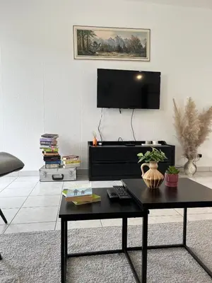 TV/Unterhaltungsangebot in der Unterkunft Schöne große Ferienwohnung im Mittelrheintal nahe Loreley