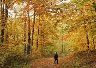 Naturlandschaft in der Nähe der Ferienwohnung