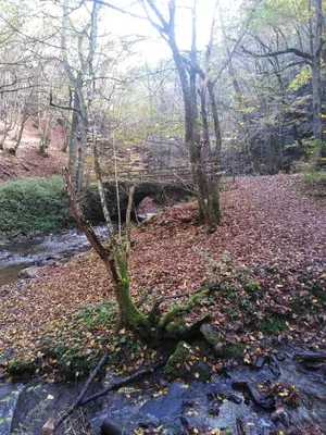 Naturlandschaft in der Nähe des Ferienhauses