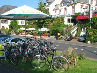 Radfahren an der Unterkunft Hotel Winzerverein oder in der Nähe