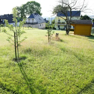 Ein Garten an der Unterkunft Haus Agnes FeWo 2