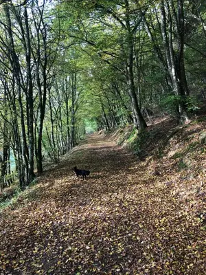 Naturlandschaft in der Nähe des Ferienhauses
