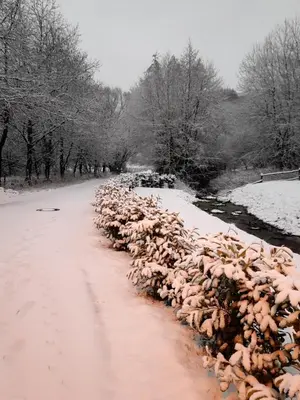 Haus Johannes im Winter