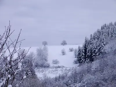 Haus Johannes im Winter