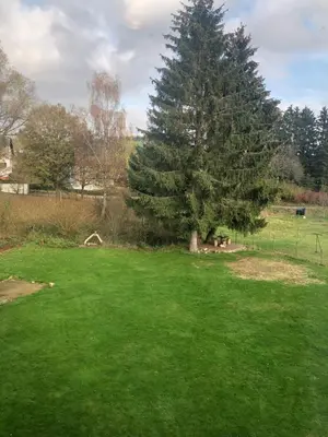 Ein Garten an der Unterkunft Haus Schneider Kätchen