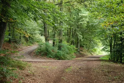Naturlandschaft in der Nähe des Ferienhauses