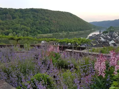 Naturlandschaft in der Nähe des Hotels