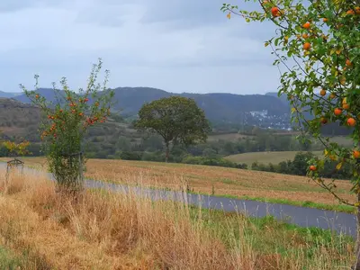 Naturlandschaft in der Nähe des Ferienhauses