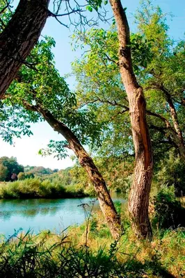 Naturlandschaft in der Nähe des Hotels