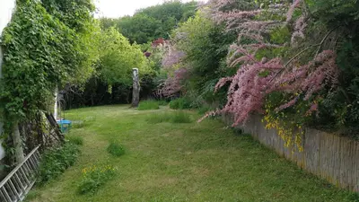 Ein Garten an der Unterkunft Lichtblick