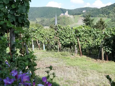 Naturlandschaft in der Nähe der Ferienwohnung