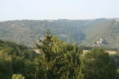 Naturlandschaft in der Nähe der Ferienwohnung