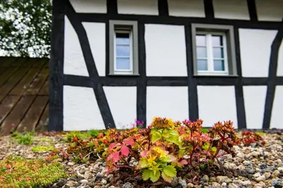 Ein Garten an der Unterkunft Landleben auf Zeit