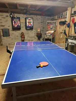 Tischtennis in der Unterkunft Traumwohnung Jolly Jumper auf idyllischem Reiterhof nähe Burg Eltz oder in der Nähe