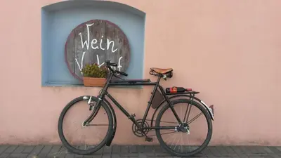 Radfahren an der Unterkunft Weingut Tiliahof oder in der Nähe