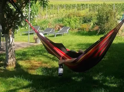 Ein Garten an der Unterkunft Weingut Tiliahof