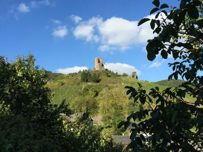 Naturlandschaft in der Nähe der Ferienwohnung