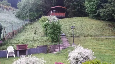 Ein Garten an der Unterkunft Ferienhaus Haus am Wald Nähe Loreley