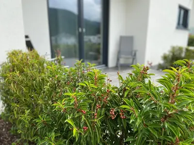 Ein Garten an der Unterkunft Ferienwohnung Weinbergblick