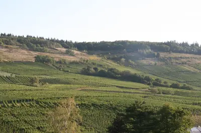 Naturlandschaft in der Nähe der Ferienwohnung