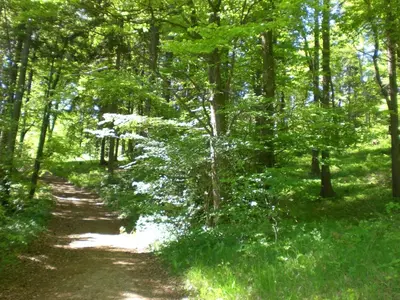 Naturlandschaft in der Nähe der Ferienwohnung