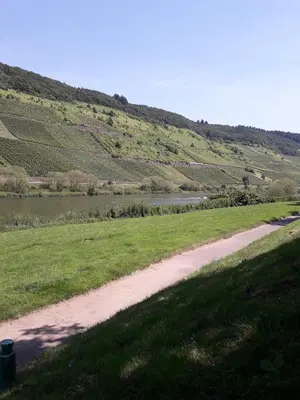 Naturlandschaft in der Nähe der Ferienwohnung