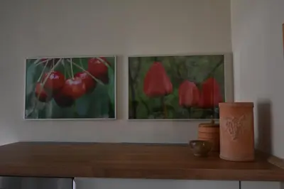 Grundriss der Unterkunft Ferienwohnung EifelMittendrin