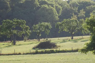 Naturlandschaft in der Nähe der Ferienwohnung