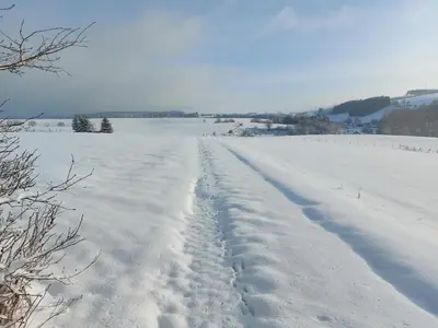 Naturlandschaft in der Nähe des Ferienhauses