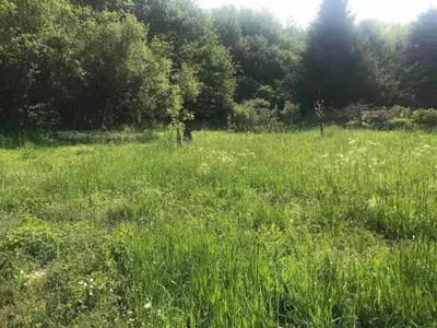 Naturlandschaft in der Nähe des Ferienhauses