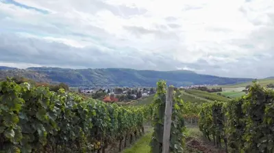 Naturlandschaft in der Nähe der Ferienwohnung