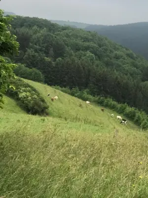 Naturlandschaft in der Nähe der Ferienwohnung