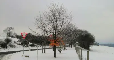Ferienwohnung Ostwind im Winter