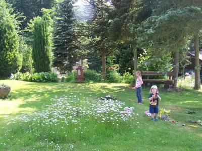 Ein Garten an der Unterkunft Silence Ferienwohnungen mit - 2 Apartments