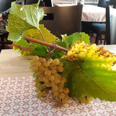 Essen im Hotel oder in der Nähe