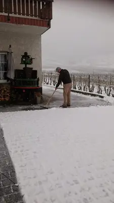 Ferienweinhaus Römer-Knodt im Winter