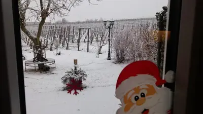 Ferienweinhaus Römer-Knodt im Winter