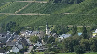 Naturlandschaft in der Nähe des Ferienhauses