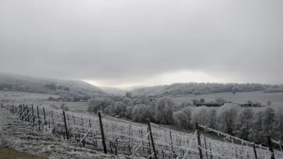 Altes Winzerhaus - Ferienhaus im Winter