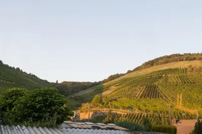Ein allgemeiner Bergblick oder ein Berglick von der Ferienwohnung aus