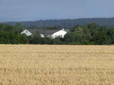 Naturlandschaft in der Nähe der Ferienwohnung