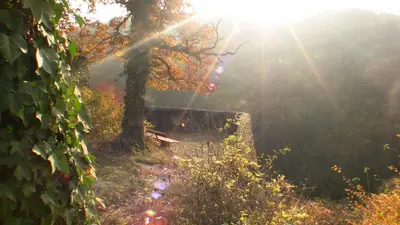 Naturlandschaft in der Nähe des Ferienhauses