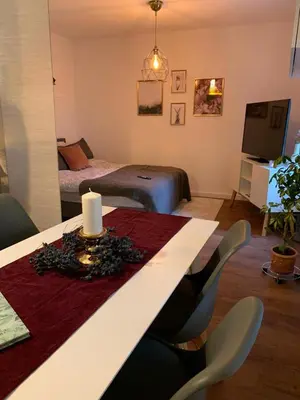 TV/Unterhaltungsangebot in der Unterkunft Ferienwohnung Gehl