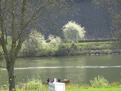 Naturlandschaft in der Nähe des Privatzimmers